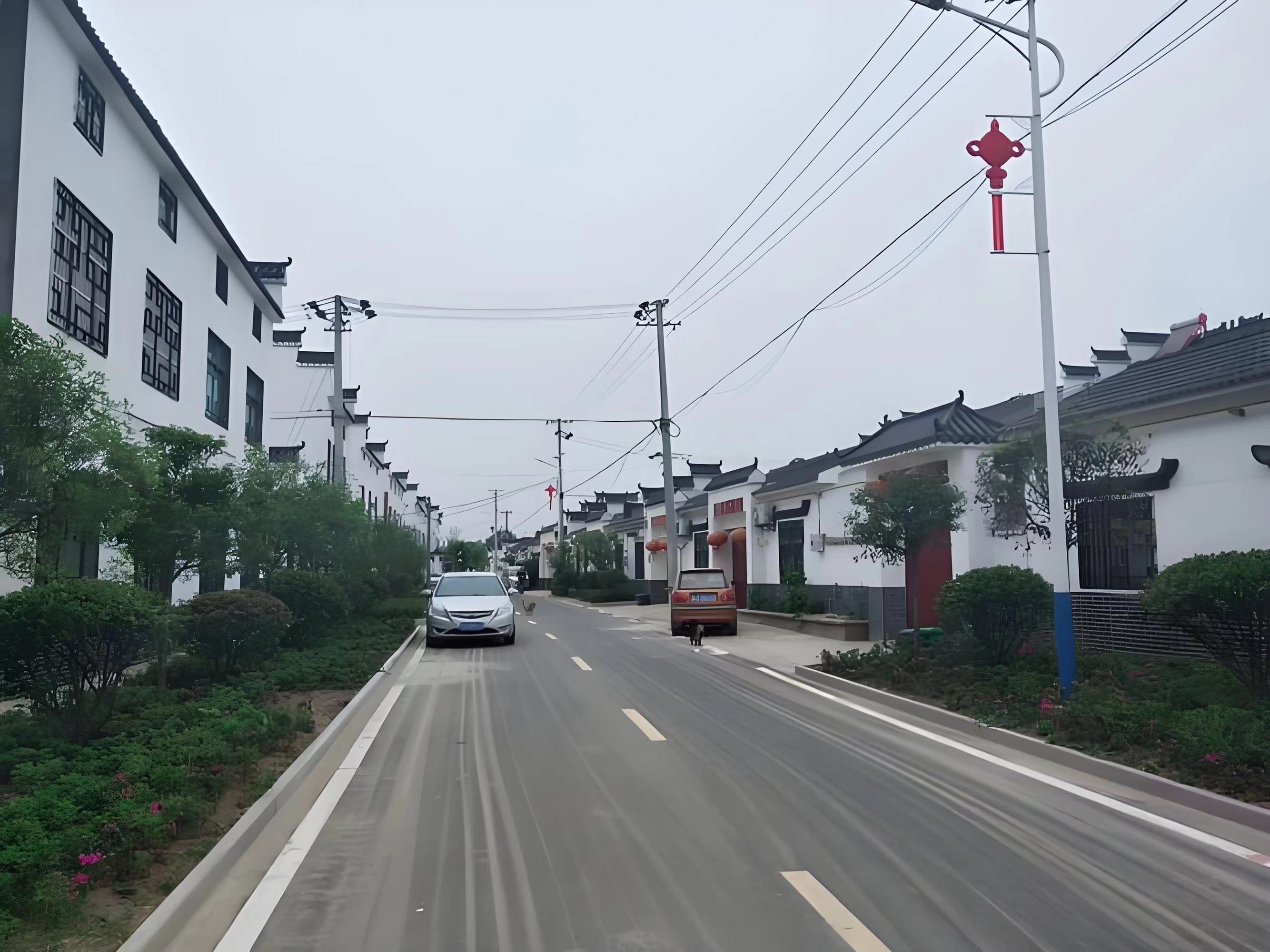 傳承紅色基因，續(xù)寫潁上黃壩發(fā)展新篇章